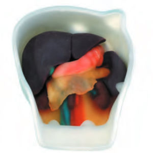 fantoma de prueba para ecoendoscopia