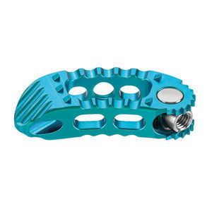 caja intersomática lumbar 1