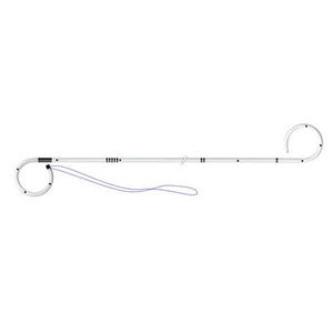 stent ureteral