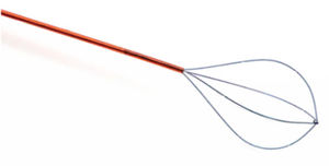 cesta endoscopica sin punta