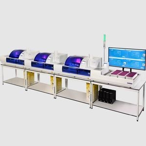 sistema de electroforesis capilar 1