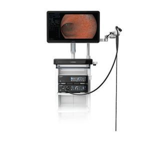videogastroscopio gran angular