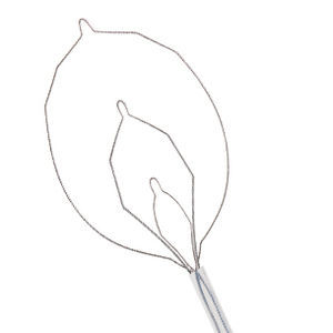 cesta endoscopica para la extracción de pólipos intestinales 1