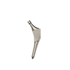 vástago femoral cementado