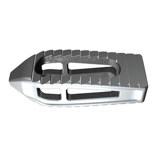 caja intersomática lumbar