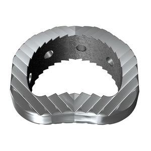 caja intersomática lumbar