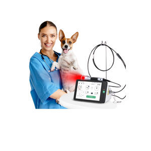 láser veterinario para cirugía veterinaria 1