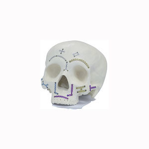 placa de compresión para macizo facial 1
