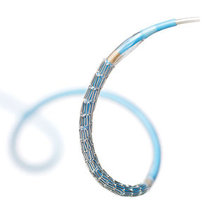 stent arteria coronaria