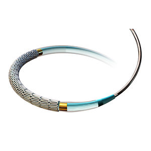 stent arteria coronaria