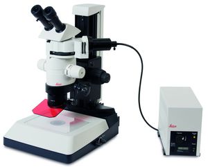 microscopio digital