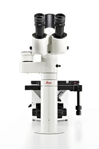 microscopio óptico
