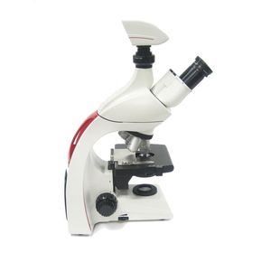 microscopio óptico