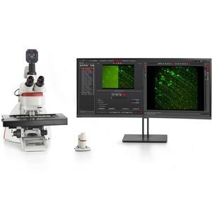 microscopio de fluorescencia 1
