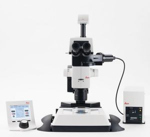 estereomicroscopio óptico