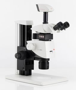 estereomicroscopio de laboratorio / digital / binocular / con zoom