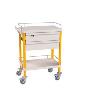 carro para cuidados 1