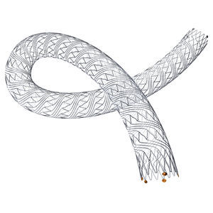 stent periférico 1