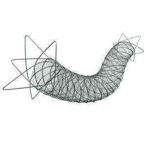 stent arteria carótida
