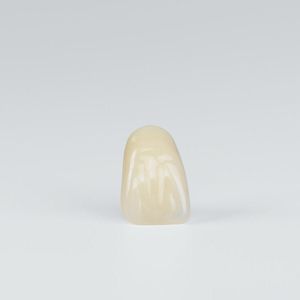 prótesis dental de fibra acrílica