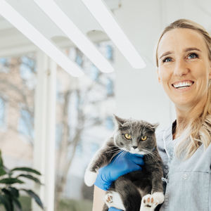 iluminación para clínica veterinaria 1
