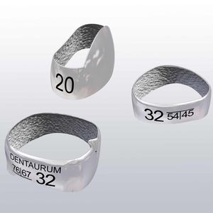 anillo ortodóntico para molares