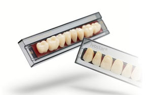 prótesis dental de PMMA