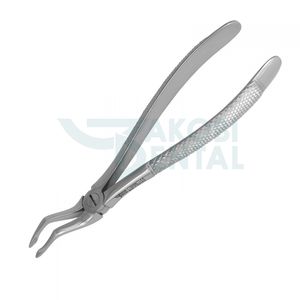 fórceps de extracción para raíz dental 1