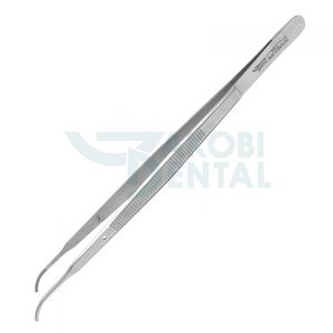 pinza dental 1