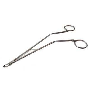 pinza dental 1