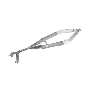 pinza dental