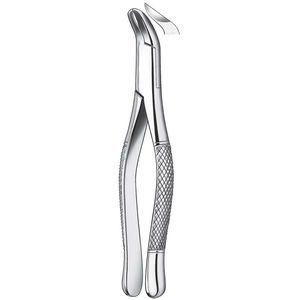 fórceps de extracción dental para muelas del juicio / americanos