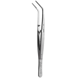 pinza dental 1