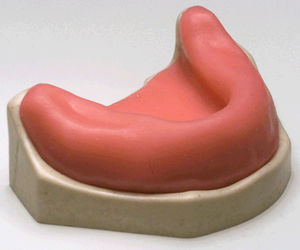modelo anatómico de mandíbula 1