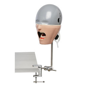 maniquí de prácticas para cuidados dentales