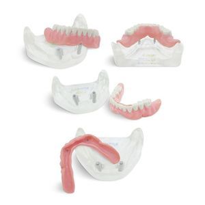 modelo anatómico de dentadura