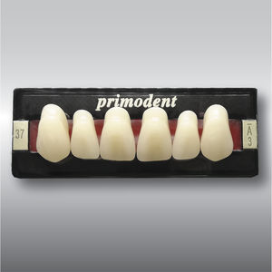 prótesis dental de fibra acrílica