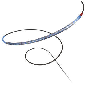 stent arteria coronaria 1