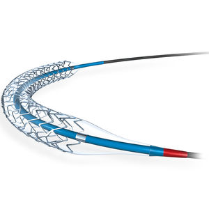 stent arteria coronaria 1