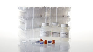 kit de reactivos proteinasa K