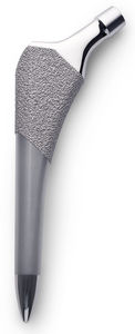 vástago femoral no cementado 1