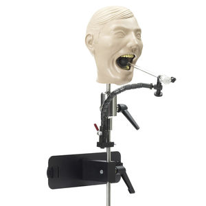 maniquí de prácticas dental