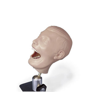 maniquí de prácticas dental