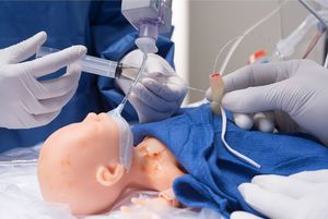 simulador de paciente para acceso vascular 1