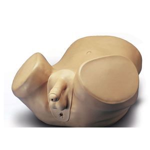 simulador de palpación de la próstata