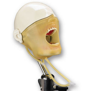 maniquí de prácticas para cuidados dentales