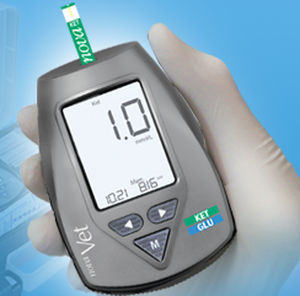 glucómetro cetonemia / veterinario