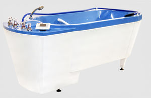 bañera de hidromasaje 1
