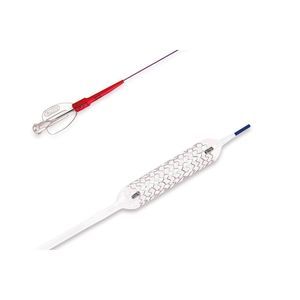 stent arteria coronaria 1