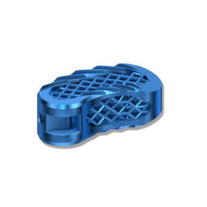 caja intersomática lumbar 1